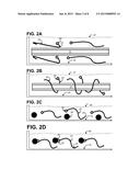 Method for Carbon Nanofiber Alignment Using Magnetic Nanoparticles diagram and image