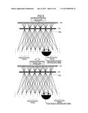 DISPLAY DEVICE AND DISPLAY METHOD diagram and image