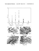 Disease treatment via developing non-syngeneic graft transplantation diagram and image