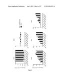 MAMMALIAN NEURAL PLATE BORDER STEM CELLS CAPABLE OF FORMING NEURAL TUBE     AND NEURAL CREST CELL LINEAGES INCLUDING CENTRAL AND PERIPHERAL NEURONS diagram and image