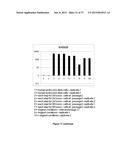 MAMMALIAN NEURAL PLATE BORDER STEM CELLS CAPABLE OF FORMING NEURAL TUBE     AND NEURAL CREST CELL LINEAGES INCLUDING CENTRAL AND PERIPHERAL NEURONS diagram and image