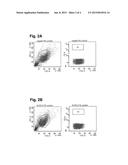 Novel MSC Surface Marker diagram and image