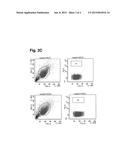 Novel MSC Surface Marker diagram and image