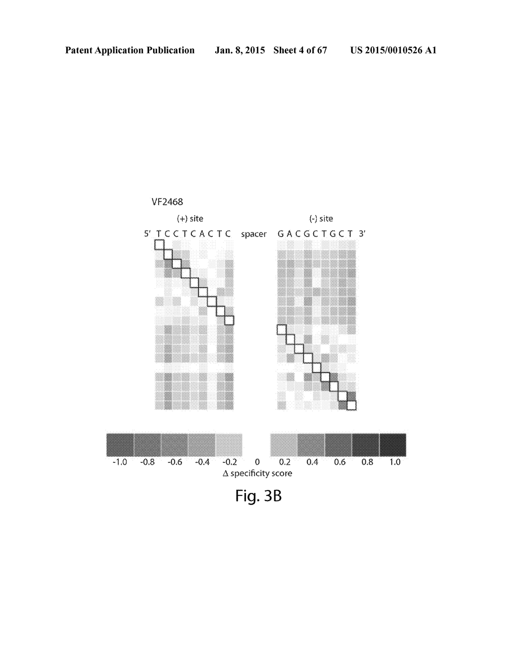 EVALUATION AND IMPROVEMENT OF NUCLEASE CLEAVAGE SPECIFICITY - diagram, schematic, and image 05