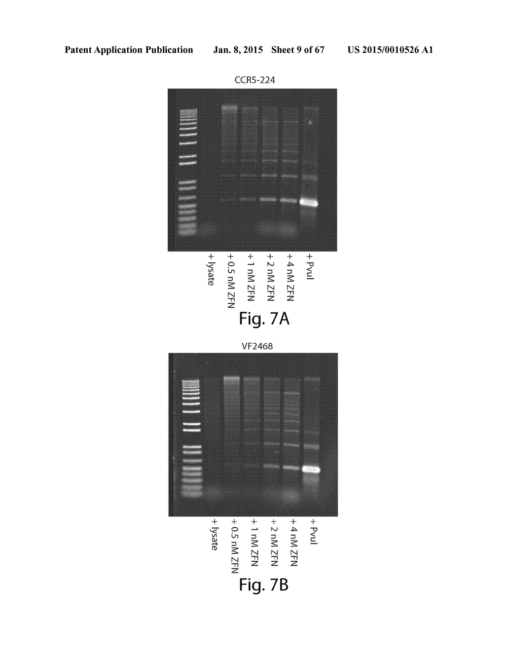 EVALUATION AND IMPROVEMENT OF NUCLEASE CLEAVAGE SPECIFICITY - diagram, schematic, and image 10