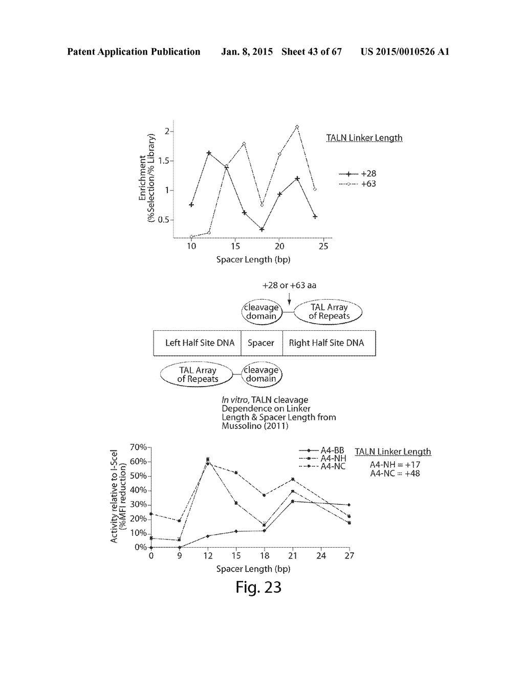 EVALUATION AND IMPROVEMENT OF NUCLEASE CLEAVAGE SPECIFICITY - diagram, schematic, and image 44