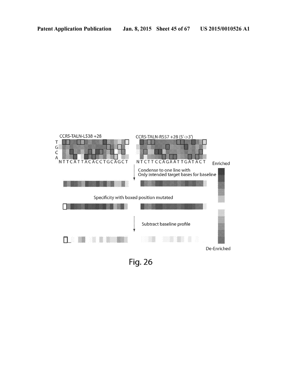 EVALUATION AND IMPROVEMENT OF NUCLEASE CLEAVAGE SPECIFICITY - diagram, schematic, and image 46