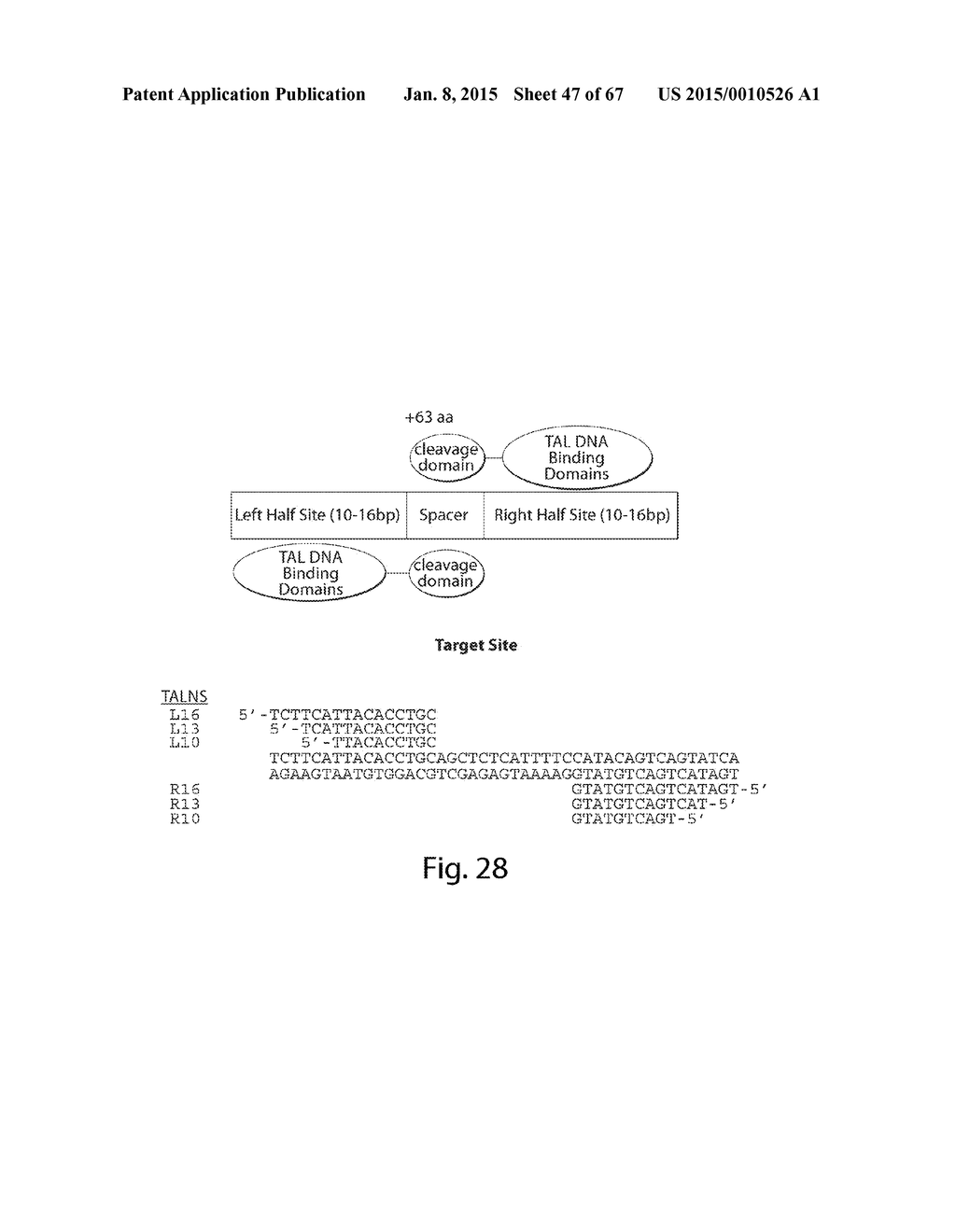 EVALUATION AND IMPROVEMENT OF NUCLEASE CLEAVAGE SPECIFICITY - diagram, schematic, and image 48