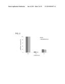 DNASE I POLYPEPTIDES, POLYNUCLEOTIDES ENCODING SAME, METHODS OF PRODUCING     DNASE I AND USES THEREOF IN THERAPY diagram and image