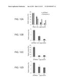 DNASE I POLYPEPTIDES, POLYNUCLEOTIDES ENCODING SAME, METHODS OF PRODUCING     DNASE I AND USES THEREOF IN THERAPY diagram and image