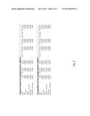 COMBINATION THERAPY OF AN AFUCOSYLATED CD20 ANTIBODY WITH A CD22     ANTIBODY-DRUG CONJUGATE diagram and image