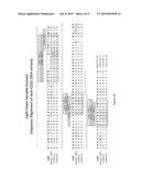 COMBINATION THERAPY OF AN AFUCOSYLATED CD20 ANTIBODY WITH A CD22     ANTIBODY-DRUG CONJUGATE diagram and image