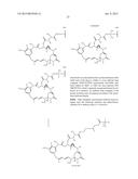 COMBINATION THERAPY OF AN AFUCOSYLATED CD20 ANTIBODY WITH A CD22     ANTIBODY-DRUG CONJUGATE diagram and image