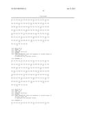 COMBINATION THERAPY OF AN AFUCOSYLATED CD20 ANTIBODY WITH A CD22     ANTIBODY-DRUG CONJUGATE diagram and image