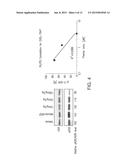 METHODS FOR TREATMENT OF BREAST CANCER NONRESPONSIVE TO TRASTUZUMAB diagram and image