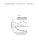 COMBINATION THERAPY FOR THE TREATMENT OF CANCER USING AN ANTI-C-MET     ANTIBODY diagram and image