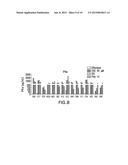 COMPOSITIONS AND METHODS FOR CANCER IMMUNOTHERAPY diagram and image