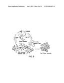 COMPOSITIONS AND METHODS FOR CANCER IMMUNOTHERAPY diagram and image