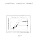 Slowly Fermentable Soluble Dietary Fiber diagram and image