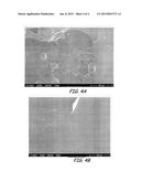 ANTIMICROBIAL COATING FOR INHIBITION OF BACTERIAL ADHESION AND BIOFILM     FORMATION diagram and image