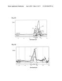 HEAT DISSIPATING COATING COMPOSITION AND HEAT DISSIPATING COATING FILM diagram and image