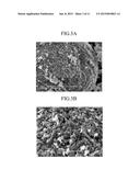 POSITIVE ACTIVE MATERIAL FOR RECHARGEABLE LITHIUM BATTERY, METHOD OF     PREPARING THE SAME, AND POSITIVE ELECTRODE FOR RECHARGEABLE LITHIUM     BATTERY AND RECHARGEABLE LITHIUM BATTERY INCLUDING THE SAME diagram and image