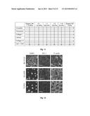 Polysiloxane Substrates with Highly-Tunable Elastic Modulus diagram and image