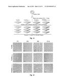 Polysiloxane Substrates with Highly-Tunable Elastic Modulus diagram and image