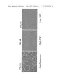 METHODS OF SELECTING RETINAL PIGMENTED EPITHELIAL CELLS diagram and image