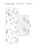 Method Of Manufacturing And Applications Of Biofunctionalized Amorphous     Metal Colloidal Suspensions diagram and image