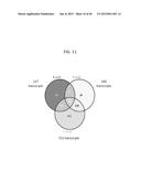 Cancer Diagnostics Using Non-Coding Transcripts diagram and image