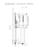 Cancer Diagnostics Using Non-Coding Transcripts diagram and image