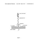 Nanopore-Based Single DNA Molecule Characterization, Identification and     Isolation Using Speed Bumps diagram and image