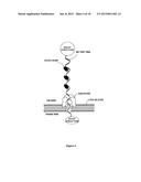 Nanopore-Based Single DNA Molecule Characterization, Identification and     Isolation Using Speed Bumps diagram and image