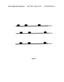 Nanopore-Based Single DNA Molecule Characterization, Identification and     Isolation Using Speed Bumps diagram and image