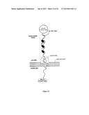 Nanopore-Based Single DNA Molecule Characterization, Identification and     Isolation Using Speed Bumps diagram and image