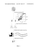 Phased Genome Sequencing diagram and image