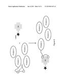 BIS-BIOTINYLATION TAGS diagram and image