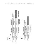 METHOD FOR THE SYNTHESIS OF A BIFUNCTIONAL COMPLEX diagram and image