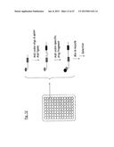 METHOD FOR THE SYNTHESIS OF A BIFUNCTIONAL COMPLEX diagram and image