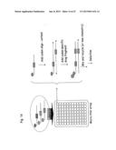 METHOD FOR THE SYNTHESIS OF A BIFUNCTIONAL COMPLEX diagram and image