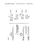 METHOD FOR THE SYNTHESIS OF A BIFUNCTIONAL COMPLEX diagram and image