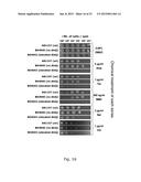 ANTIBACTERIAL POLYPEPTIDES AND USE THEREOF diagram and image