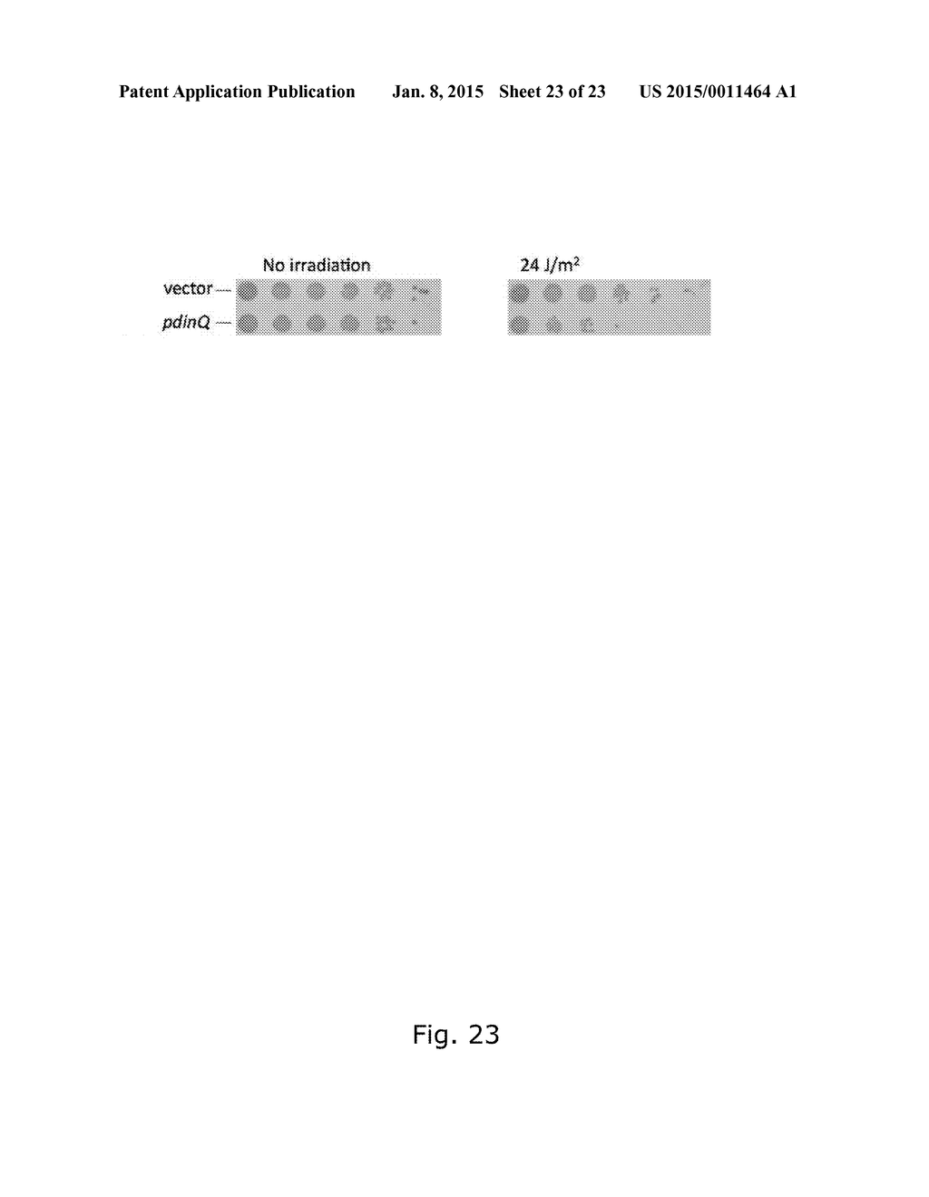 ANTIBACTERIAL POLYPEPTIDES AND USE THEREOF - diagram, schematic, and image 24