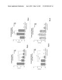 OXYNTOMODULIN ANALOGUES AND THEIR EFFECTS ON FEEDING BEHAVIOUR diagram and image