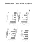 OXYNTOMODULIN ANALOGUES AND THEIR EFFECTS ON FEEDING BEHAVIOUR diagram and image