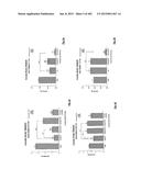 OXYNTOMODULIN ANALOGUES AND THEIR EFFECTS ON FEEDING BEHAVIOUR diagram and image