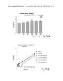 OXYNTOMODULIN ANALOGUES AND THEIR EFFECTS ON FEEDING BEHAVIOUR diagram and image