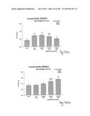 OXYNTOMODULIN ANALOGUES AND THEIR EFFECTS ON FEEDING BEHAVIOUR diagram and image