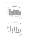 OXYNTOMODULIN ANALOGUES AND THEIR EFFECTS ON FEEDING BEHAVIOUR diagram and image